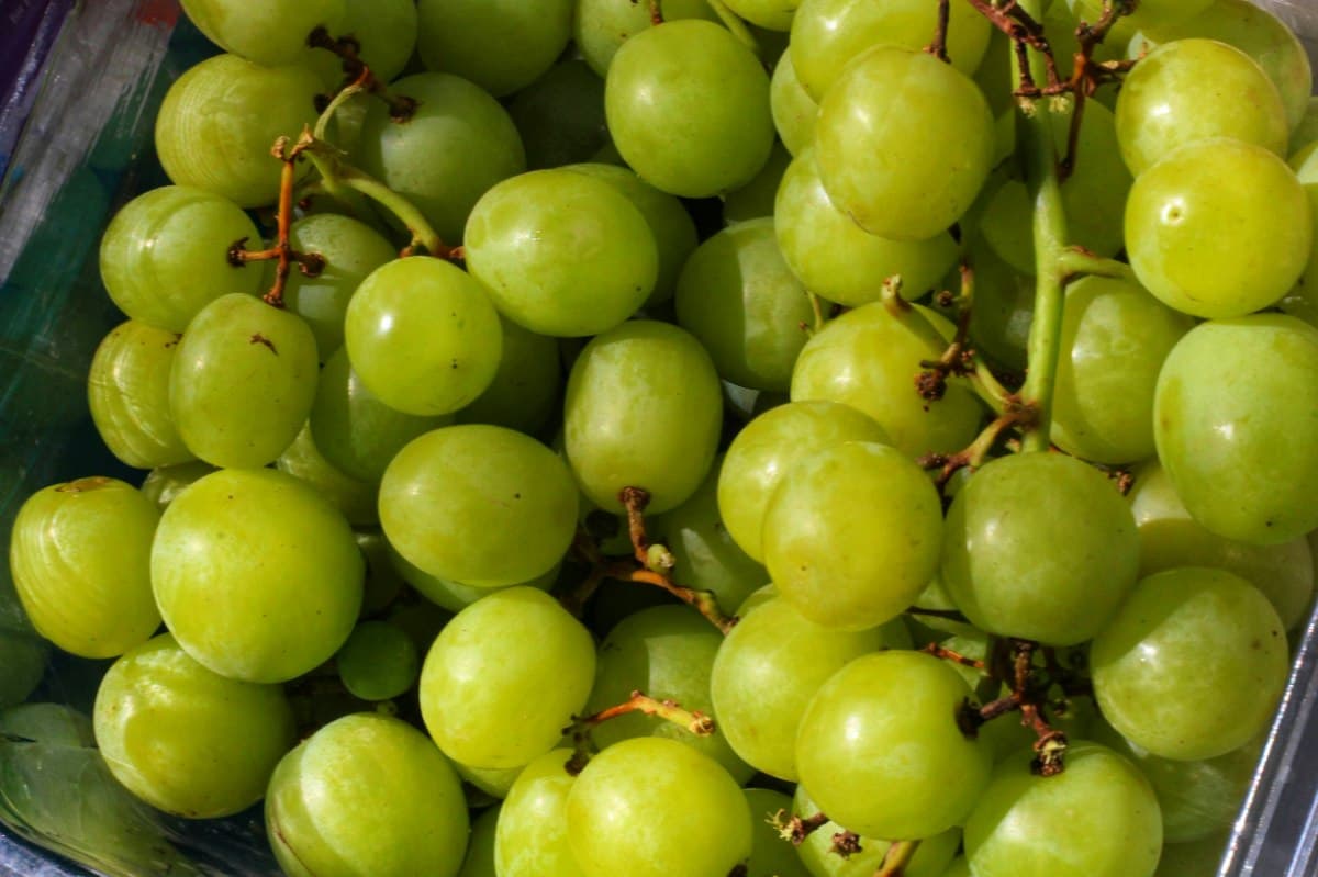 ענבים ירוקים