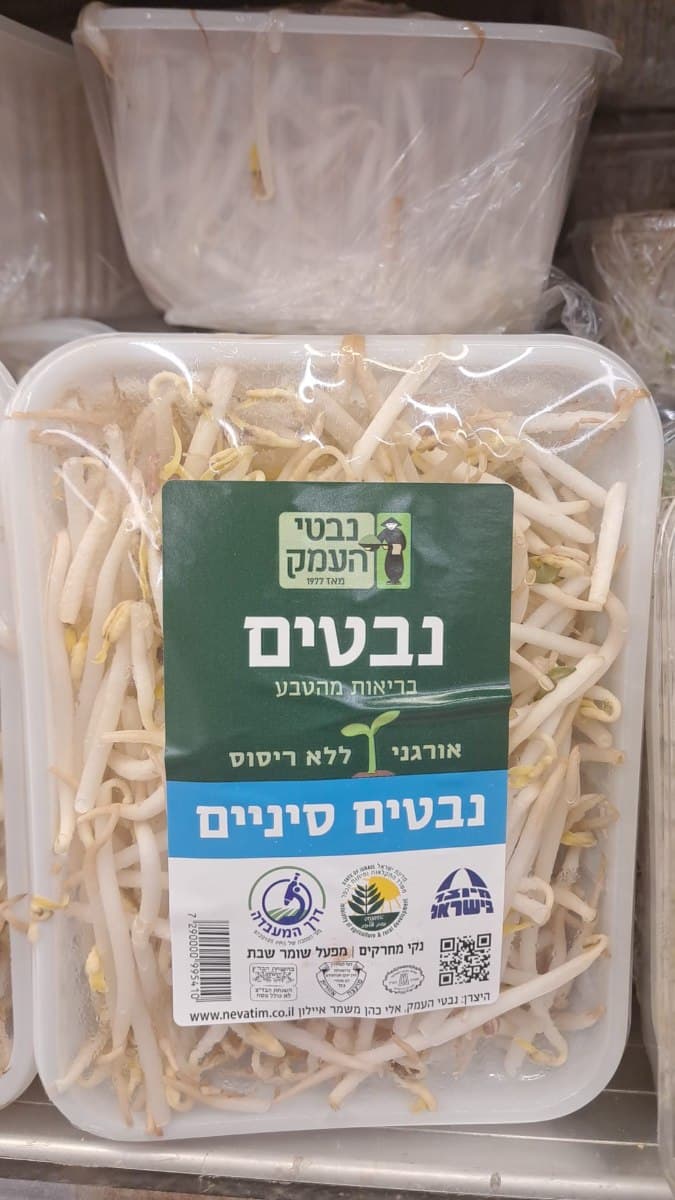 נבטים סינים-בד"ץ העדה החרדית