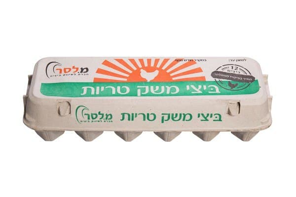 ביצי משק טריות M - מחיר בפיקוח ממשלתי
