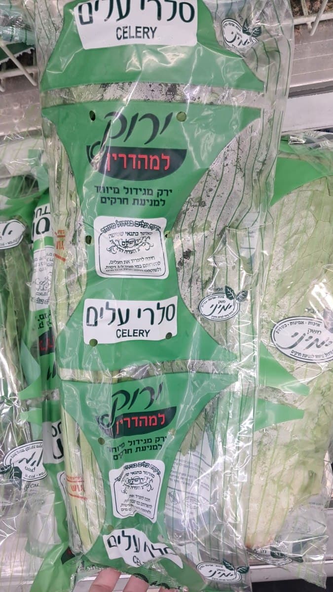 סלרי גלאט עלים בד"ץ העדה החרדית