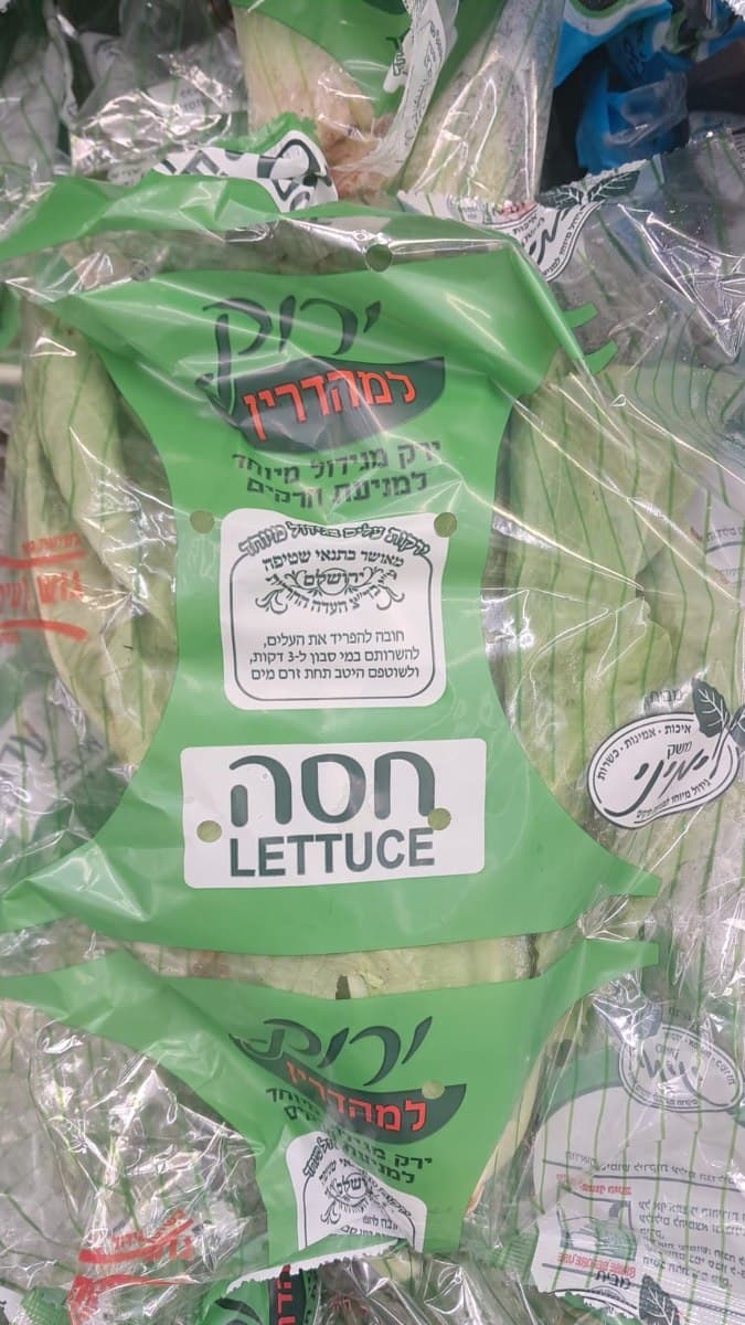 חסה גלאט עלים בד"ץ העדה החרדית