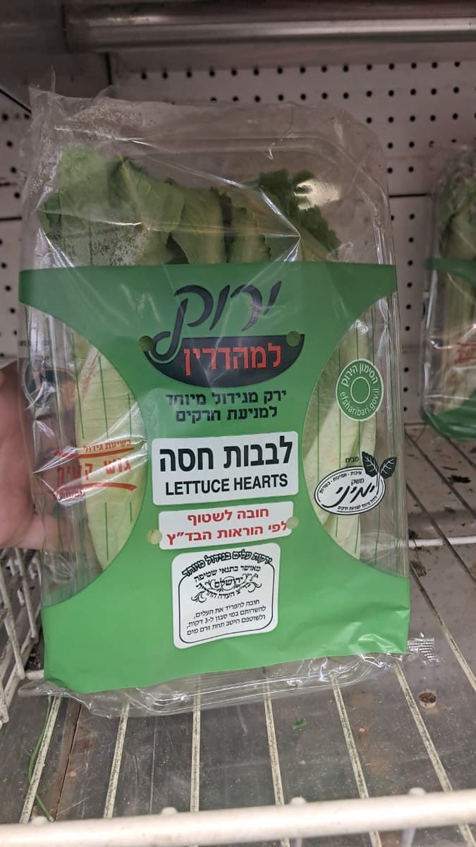 לבבות חסה-בד"ץ העדה החרדית