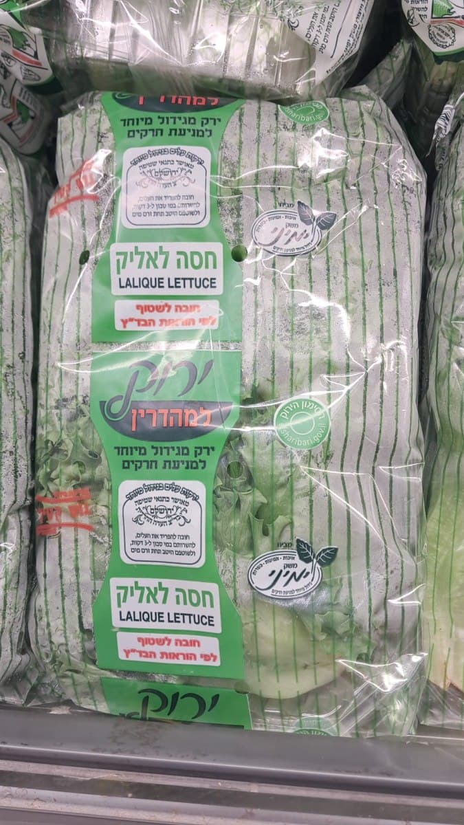 חסה לאליק-בד"ץ העדה החרדית