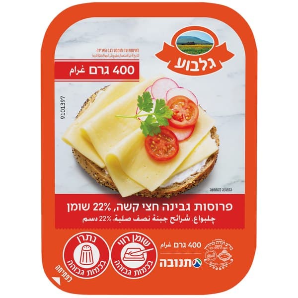 גלבוע פרוסות גבינה חצי קשה 22%, 400 גרם