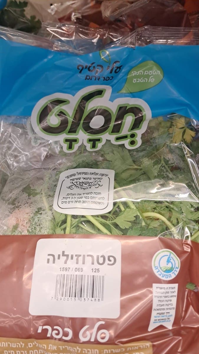 פטרוזיליה חסלט