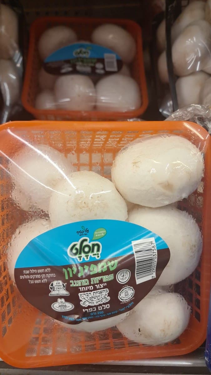 פטריות שמפניון כשרות בד"צ-חסלט