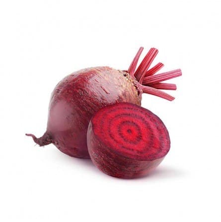 סלק